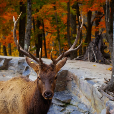 Διάβασε ΔΩΡΕΑΝ την προσωπική σου πρόβλεψη, για σήμερα 06/11/2023