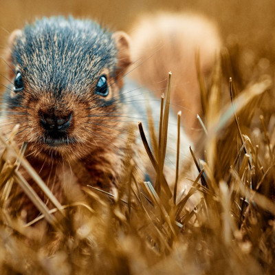 Διάβασε ΔΩΡΕΑΝ την προσωπική σου πρόβλεψη, για σήμερα 08/11/2023