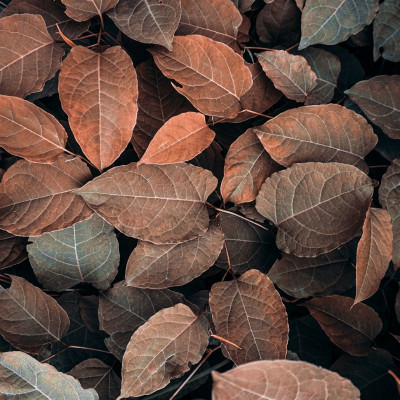 Διάβασε ΔΩΡΕΑΝ την προσωπική σου πρόβλεψη, για σήμερα 09/11/2023