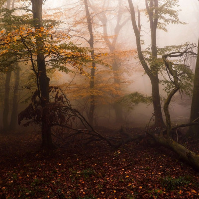 Διάβασε ΔΩΡΕΑΝ την προσωπική σου πρόβλεψη, για σήμερα 13/11/2023