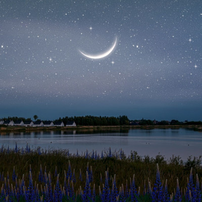 Σήμερα 13/11: Νέα Σελήνη στον Σκορπιό