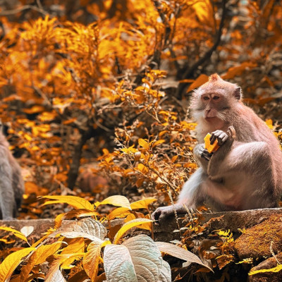 Διάβασε ΔΩΡΕΑΝ την προσωπική σου πρόβλεψη, για σήμερα 14/11/2023