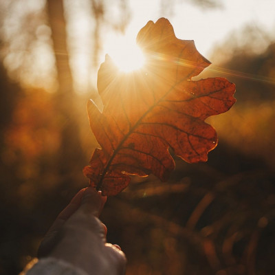 Προβλέψεις για όλα τα Ζώδια, 16/11: Προσοχή στις εξαπατήσεις