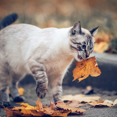 Διάβασε ΔΩΡΕΑΝ την προσωπική σου πρόβλεψη, για σήμερα 16/11/2023