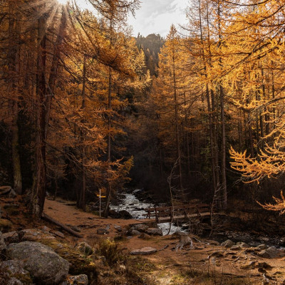 Διάβασε ΔΩΡΕΑΝ την προσωπική σου πρόβλεψη, για σήμερα 17/11/2023