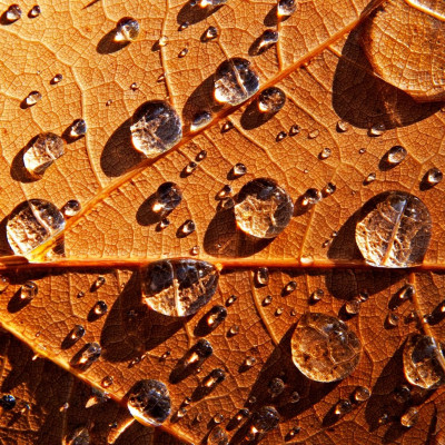 Διάβασε ΔΩΡΕΑΝ την προσωπική σου πρόβλεψη, για σήμερα 21/11/2023