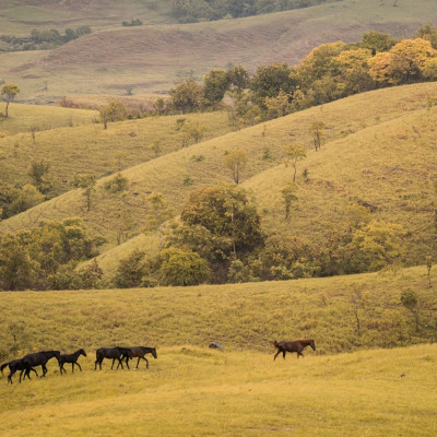 Διάβασε ΔΩΡΕΑΝ την προσωπική σου πρόβλεψη, για σήμερα 20/11/2023