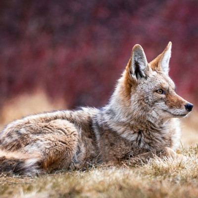 Διάβασε ΔΩΡΕΑΝ την προσωπική σου πρόβλεψη, για σήμερα 22/11/2023