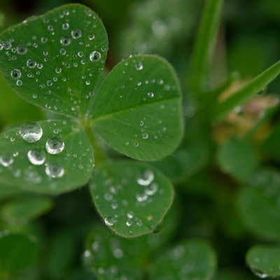 Τα ζώδια που θα τους χαμογελάσει η τύχη, σήμερα, 25/11