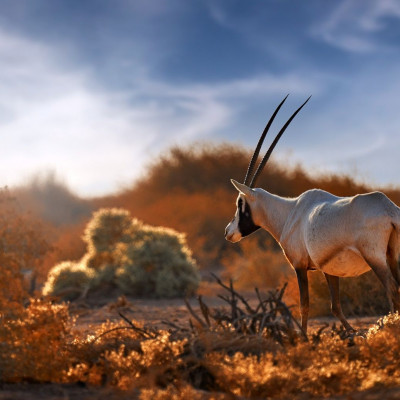 Διάβασε ΔΩΡΕΑΝ την προσωπική σου πρόβλεψη, για σήμερα 24/11/2023