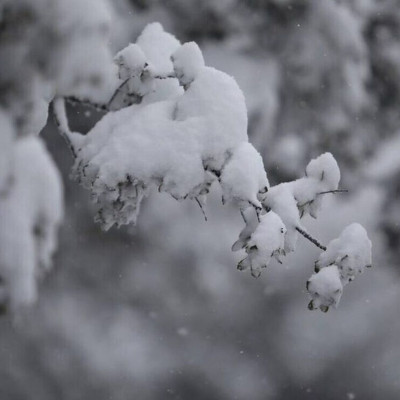 Έρχεται η Betina - Η Κυριακή η πιο κρύα μέρα - Πού θα χιονίσει