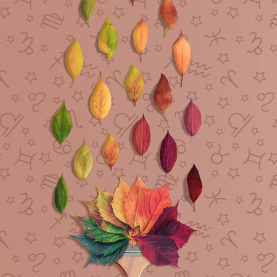 Εβδομαδιαίες προβλέψεις 26/11-02/12: Πολλά λόγια και όχι καλά…