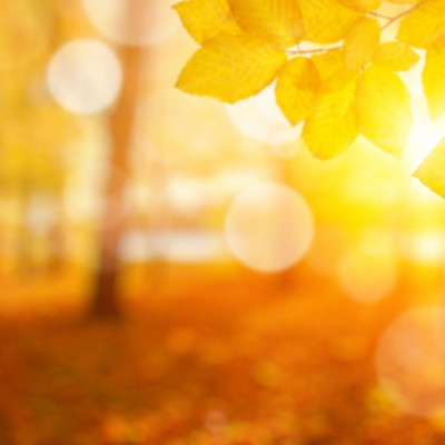 Διάβασε ΔΩΡΕΑΝ την προσωπική σου πρόβλεψη, για σήμερα 27/11/2023