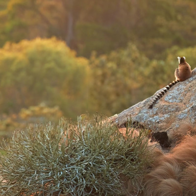 Διάβασε ΔΩΡΕΑΝ την προσωπική σου πρόβλεψη, για σήμερα 26/11/2023