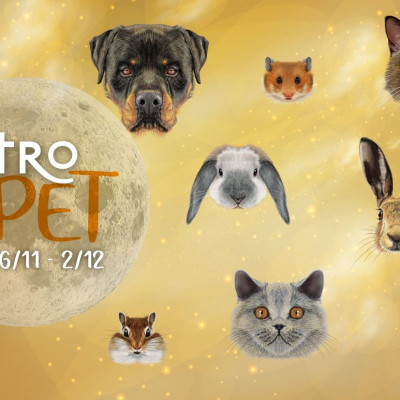 AstroPet 26/11-02/12: Εβδομαδιαίες προβλέψεις για το κατοικίδιό σου