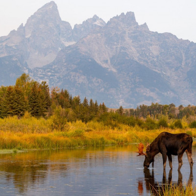 Διάβασε ΔΩΡΕΑΝ την προσωπική σου πρόβλεψη, για σήμερα 28/11/2023
