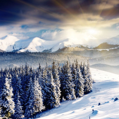 Τι λένε τα άστρα για τον Δεκέμβριο του 2023;