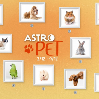 AstroPet 03/12-09/12: Εβδομαδιαίες προβλέψεις για το κατοικίδιό σου