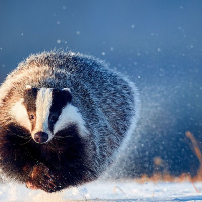 Διάβασε ΔΩΡΕΑΝ την προσωπική σου πρόβλεψη, για σήμερα 03/12/2023