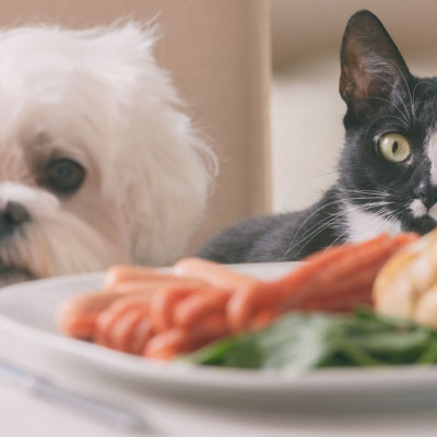 Τα ζώδια που θα βγάλουν απληστία σήμερα, 09/12