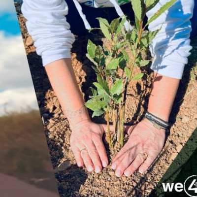 Όμιλος Φάις & We4ALL: Κοινή δράση, για ένα πιο πράσινο περιβάλλον