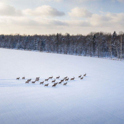 Διάβασε ΔΩΡΕΑΝ την προσωπική σου πρόβλεψη, για σήμερα 07/12/2023