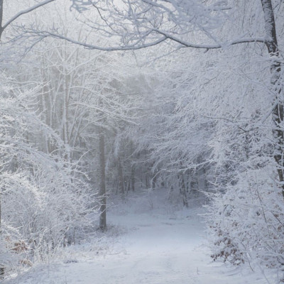 Διάβασε ΔΩΡΕΑΝ την προσωπική σου πρόβλεψη, για σήμερα 08/12/2023