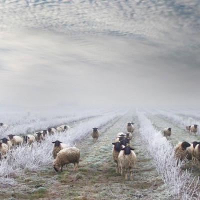 Διάβασε ΔΩΡΕΑΝ την προσωπική σου πρόβλεψη, για σήμερα 09/12/2023