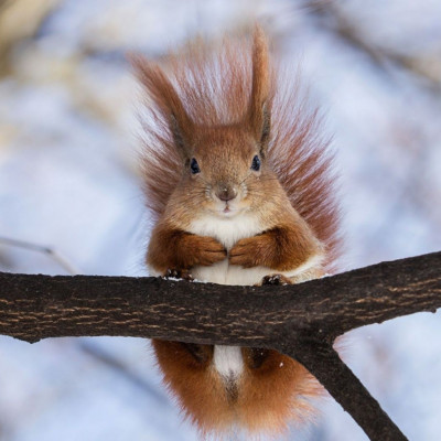Διάβασε ΔΩΡΕΑΝ την προσωπική σου πρόβλεψη, για σήμερα 11/12/2023