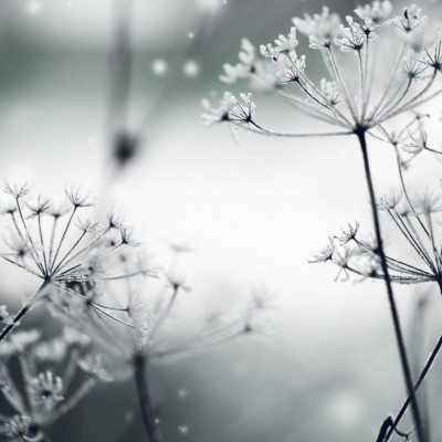 Διάβασε ΔΩΡΕΑΝ την προσωπική σου πρόβλεψη, για σήμερα 12/12/2023