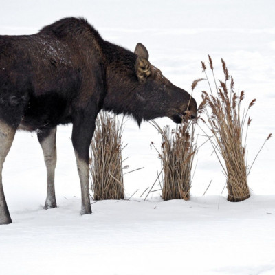 Διάβασε ΔΩΡΕΑΝ την προσωπική σου πρόβλεψη, για σήμερα 13/12/2023