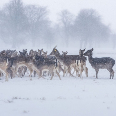 Διάβασε ΔΩΡΕΑΝ την προσωπική σου πρόβλεψη, για σήμερα 15/12/2023