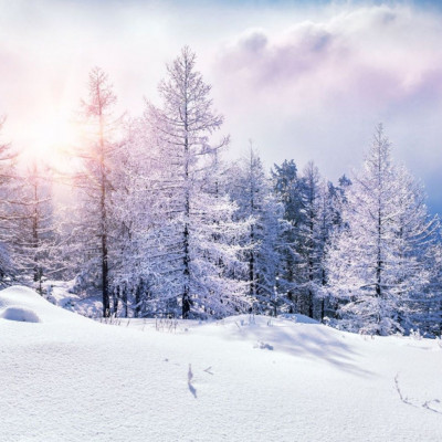 Διάβασε ΔΩΡΕΑΝ την προσωπική σου πρόβλεψη, για σήμερα 14/12/2023