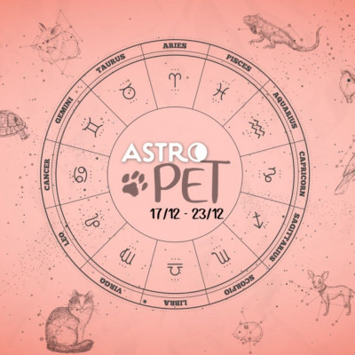 AstroPet 17/12-23/12: Εβδομαδιαίες προβλέψεις για το κατοικίδιό σου
