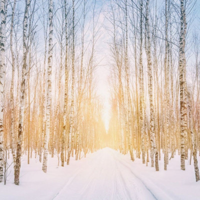 Διάβασε ΔΩΡΕΑΝ την προσωπική σου πρόβλεψη, για σήμερα 19/12/2023