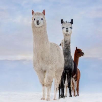 Διάβασε ΔΩΡΕΑΝ την προσωπική σου πρόβλεψη, για σήμερα 20/12/2023