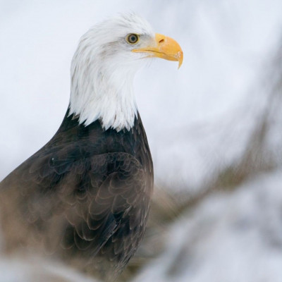 Διάβασε ΔΩΡΕΑΝ την προσωπική σου πρόβλεψη, για σήμερα 24/12/2023