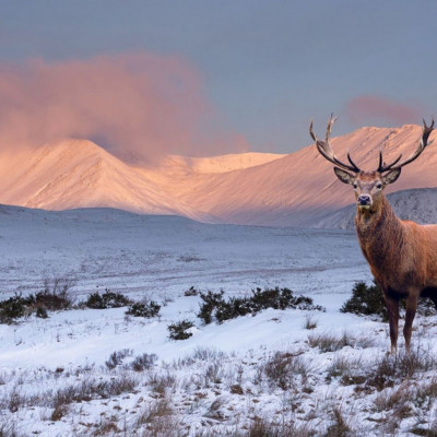 Διάβασε ΔΩΡΕΑΝ την προσωπική σου πρόβλεψη, για σήμερα 26/12/2023