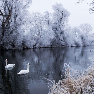 Διάβασε ΔΩΡΕΑΝ την προσωπική σου πρόβλεψη, για σήμερα 30/12/2023