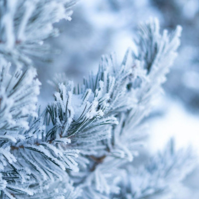 Διάβασε ΔΩΡΕΑΝ την προσωπική σου πρόβλεψη, για σήμερα 23/12/2023