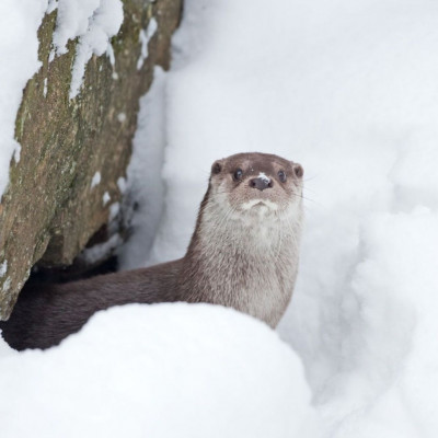 Διάβασε ΔΩΡΕΑΝ την προσωπική σου πρόβλεψη, για σήμερα 28/12/2023