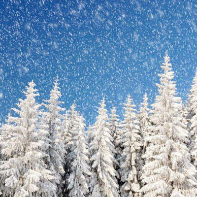 Διάβασε ΔΩΡΕΑΝ την προσωπική σου πρόβλεψη, για σήμερα 31/12/2023