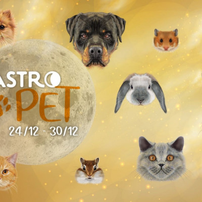 AstroPet 24/12-30/12: Εβδομαδιαίες προβλέψεις για το κατοικίδιό σου