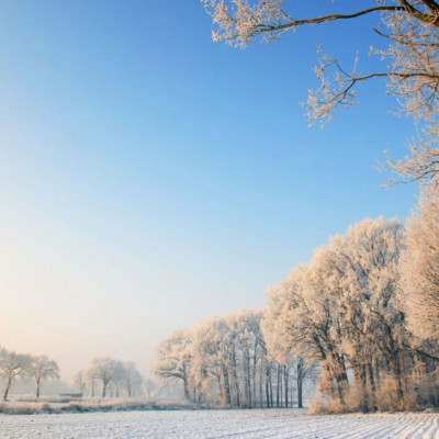 Διάβασε ΔΩΡΕΑΝ την προσωπική σου πρόβλεψη, για σήμερα 01/01/2024