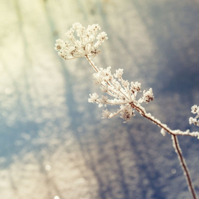 Διάβασε ΔΩΡΕΑΝ την προσωπική σου πρόβλεψη, για σήμερα 02/01/2024