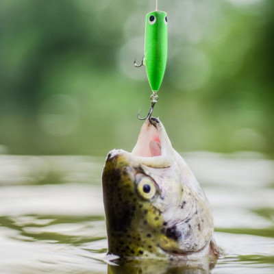 Τα ζώδια που μπορεί να πέσουν θύματα εξαπάτησης, σήμερα, 09/01