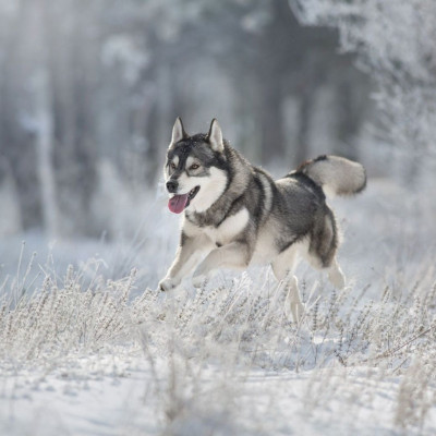 Διάβασε ΔΩΡΕΑΝ την προσωπική σου πρόβλεψη, για σήμερα 06/01/2024