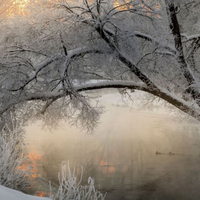 Διάβασε ΔΩΡΕΑΝ την προσωπική σου πρόβλεψη, για σήμερα 07/01/2024
