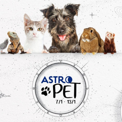 AstroPet 07/01-13/01: Εβδομαδιαίες προβλέψεις για το κατοικίδιό σου