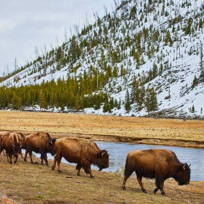 Διάβασε ΔΩΡΕΑΝ την προσωπική σου πρόβλεψη, για σήμερα 10/01/2024
